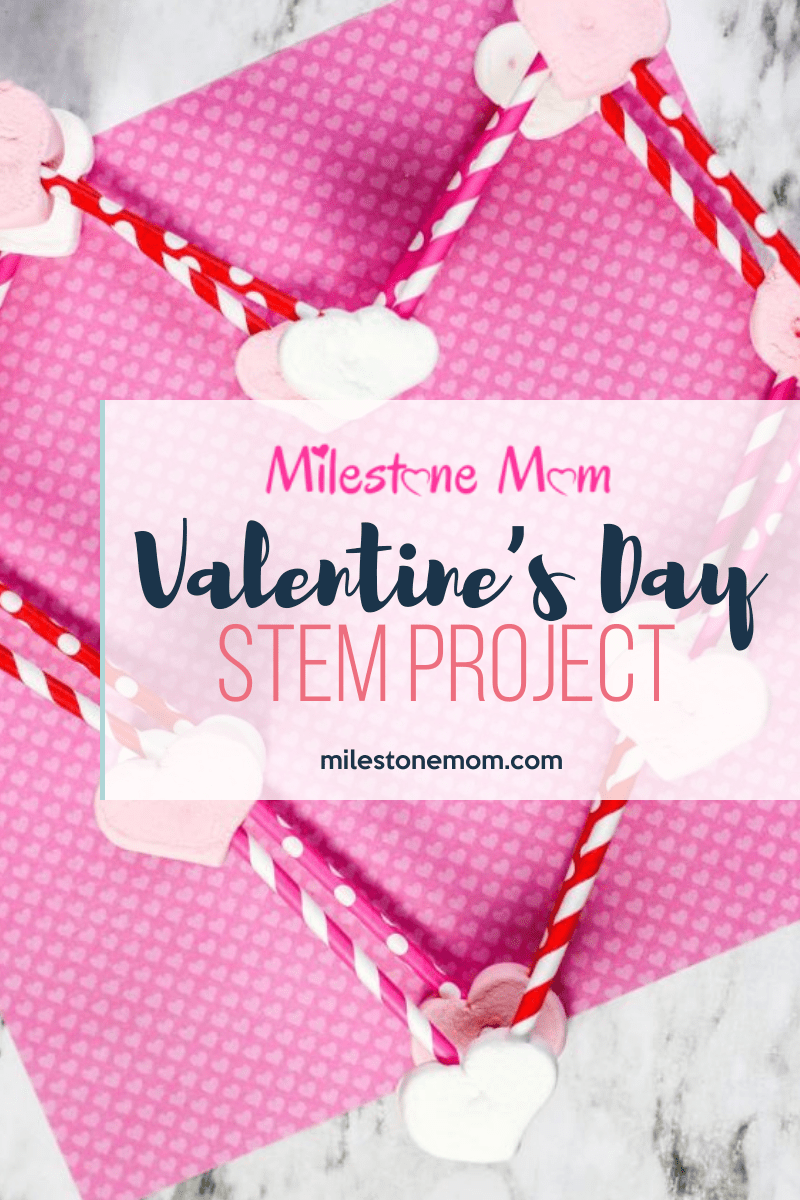 Valentine’s Day STEM Project