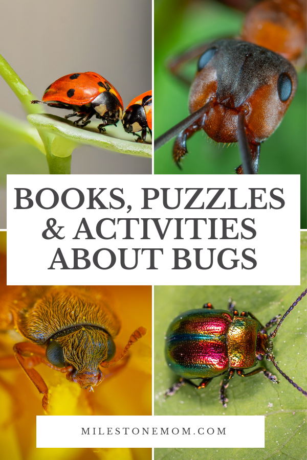 Books, Puzzles and Activities About Bugs