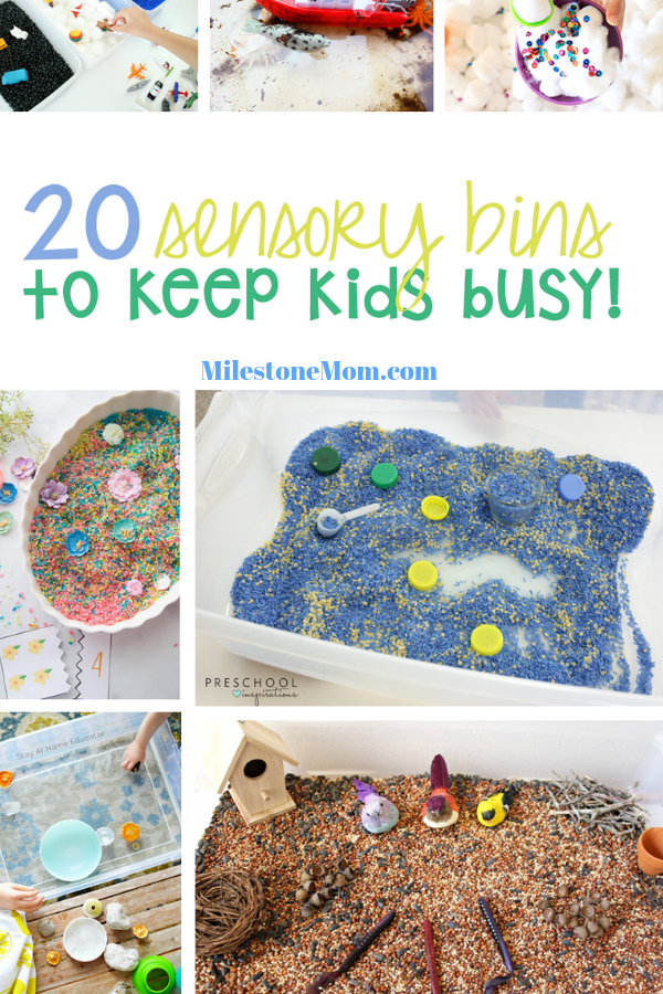 20 Sensory Bin Activities for Kids