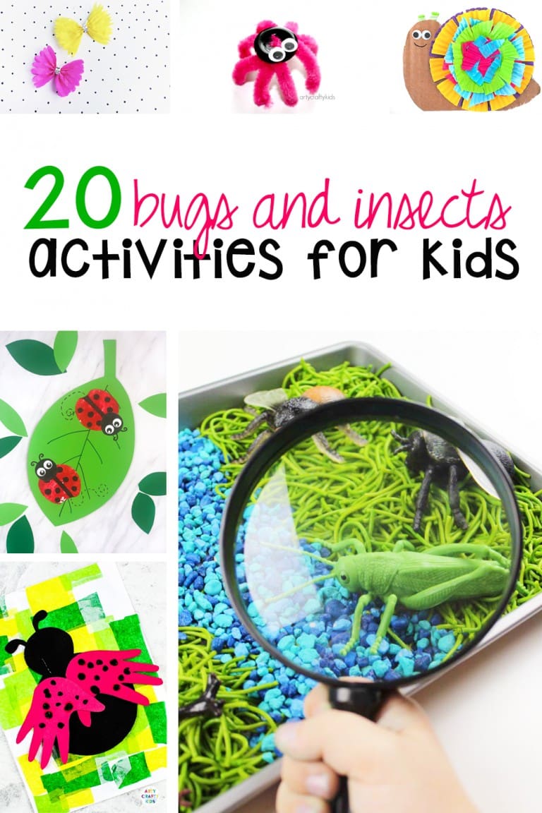 20 Bugs and Insects Activities for Kids