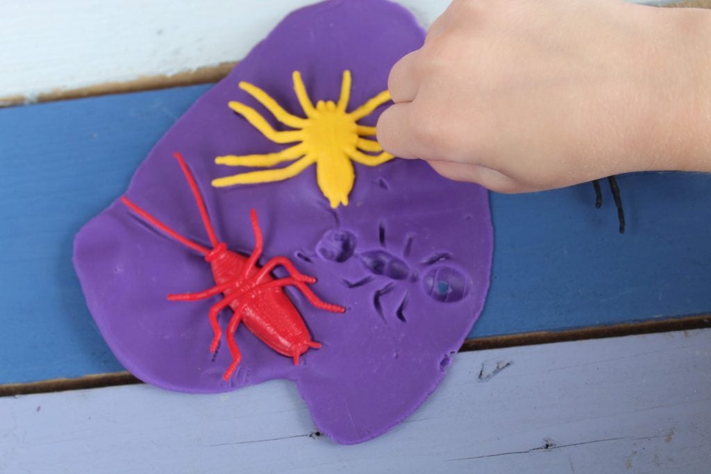 step 2 playdough insect fossils
