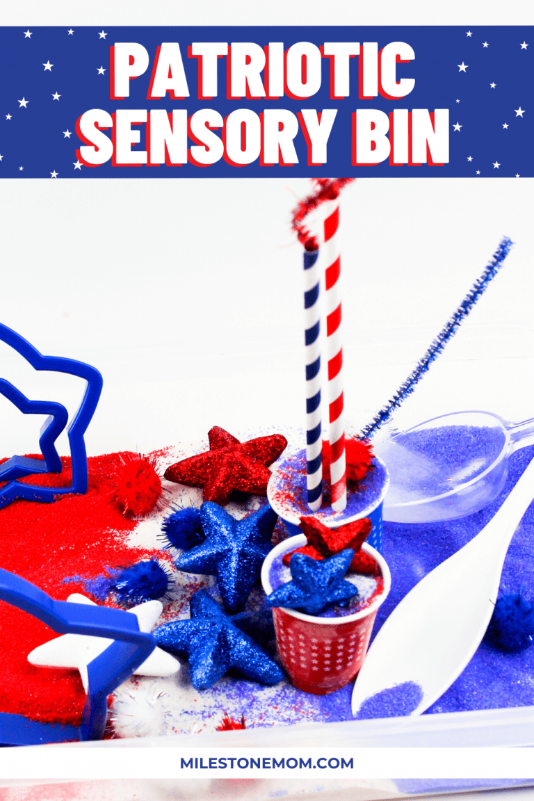 Patriotic Sensory Bin: 4th of July Kid’s Activity
