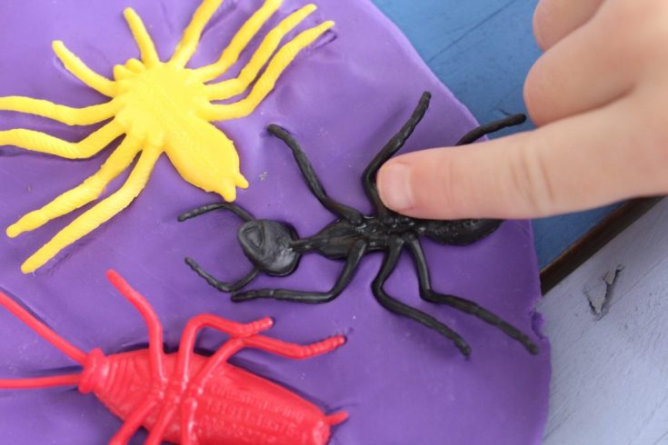 Playdough Insect Fossils Idea